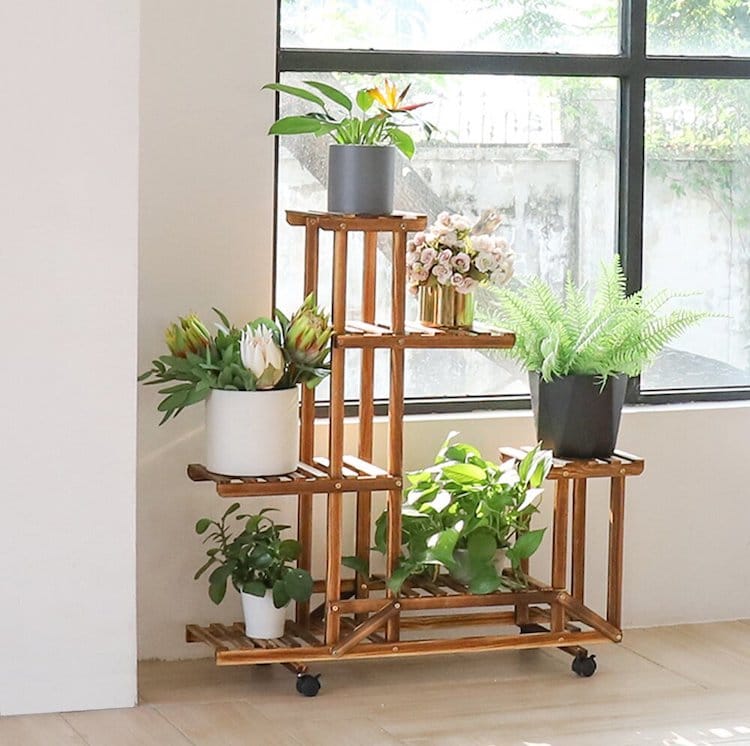 Stylish Plant Stands