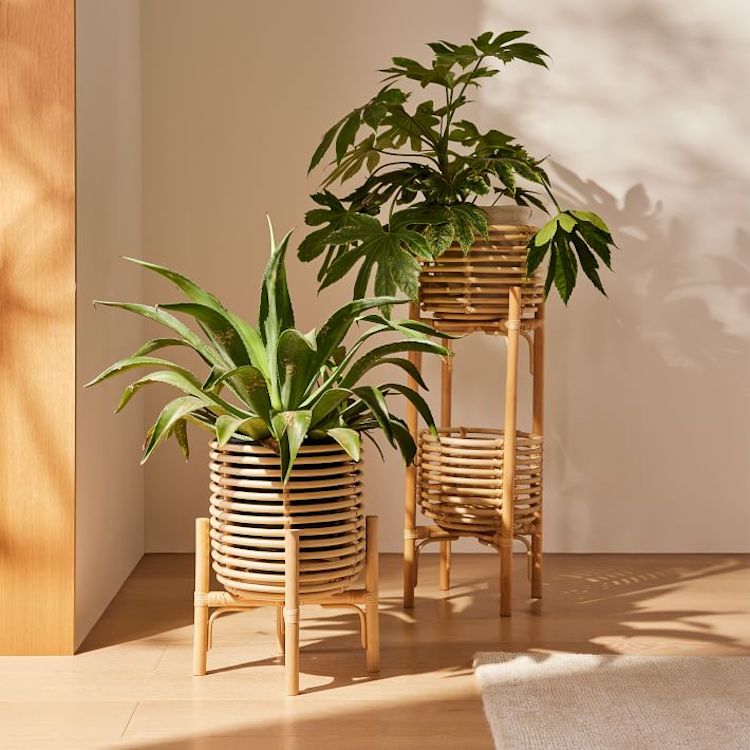 Stylish Plant Stands