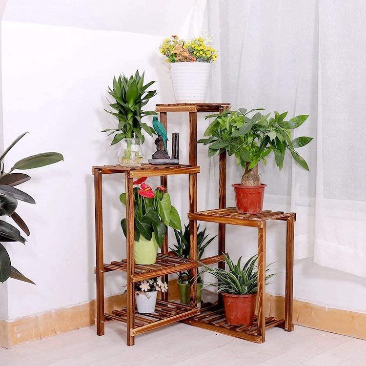 Indoor Plant Stand