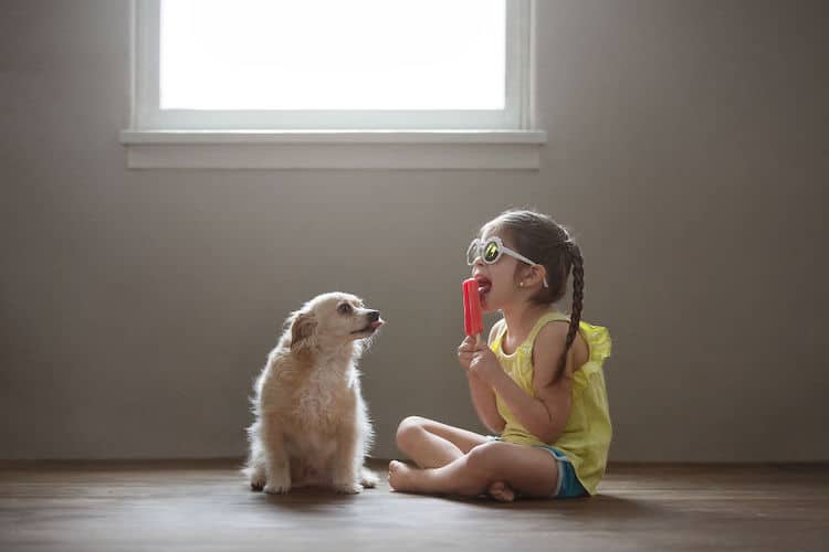 Pet and Kid Photography