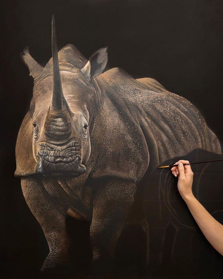 Animal Paintings by Sophie Green