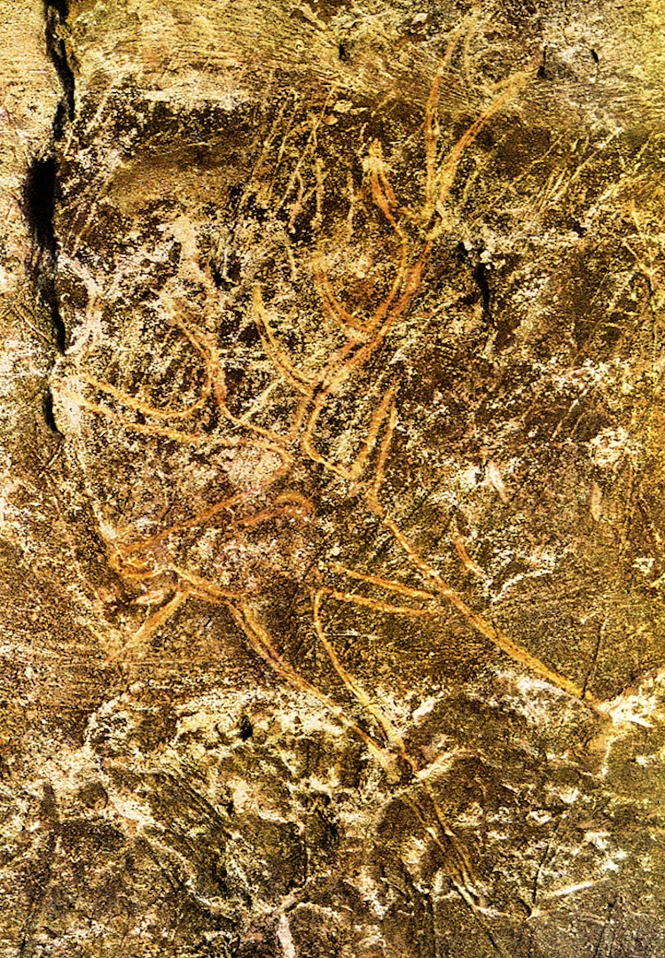 Stag Engraving at Lascaux Cave