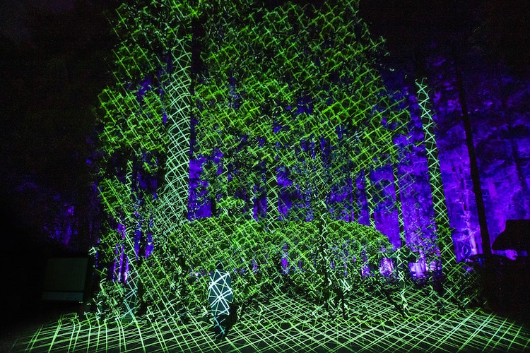 Digital Art Installation by teamLab Japan in Kairakuen Gardens