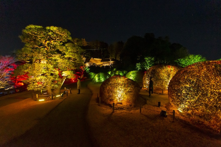 Digital Art Installation by teamLab Japan in Kairakuen Gardens