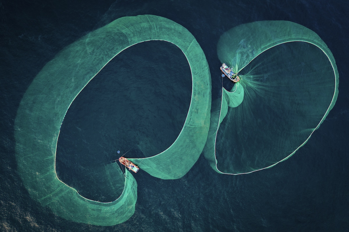 Aerial View of Anchovy Fishing in Vietnam