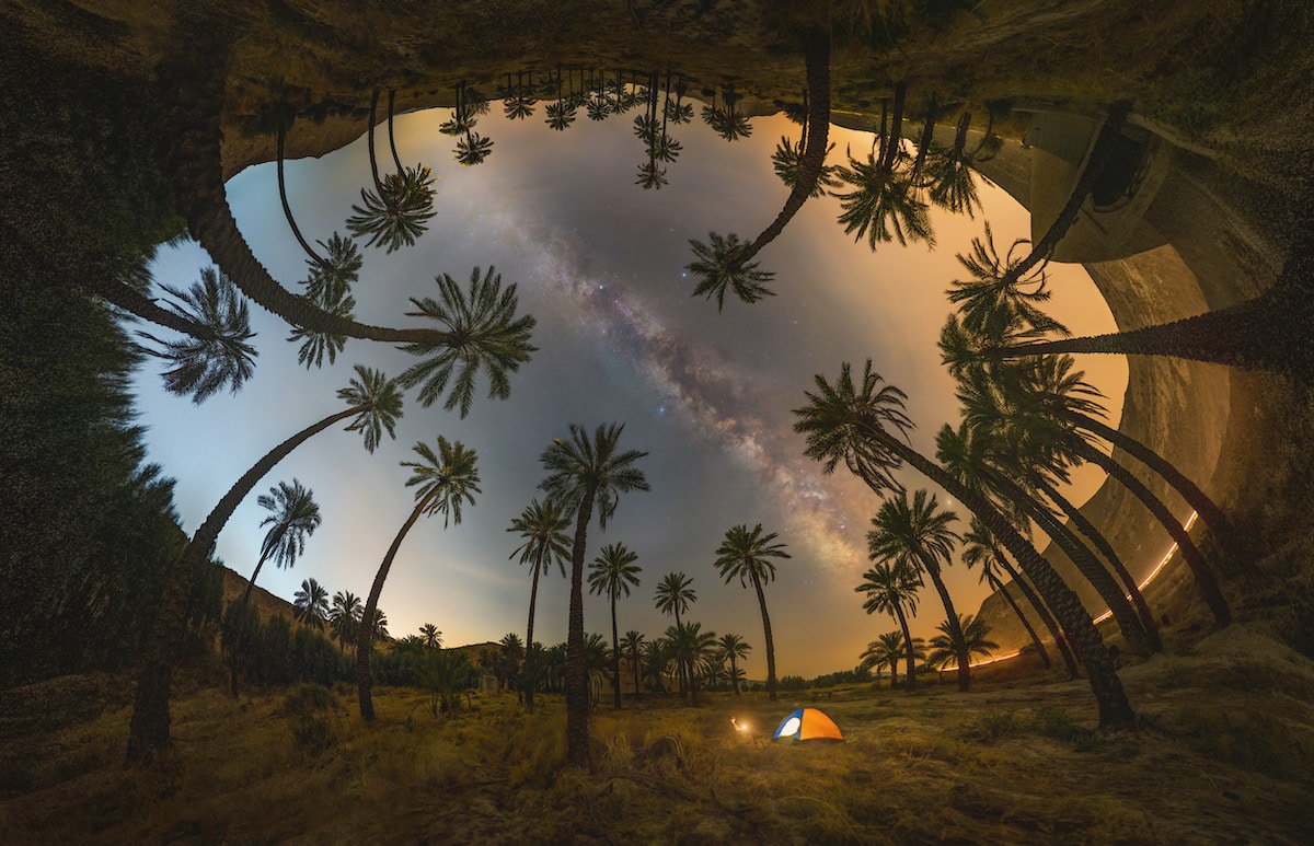 Milky Way Under Palm Trees