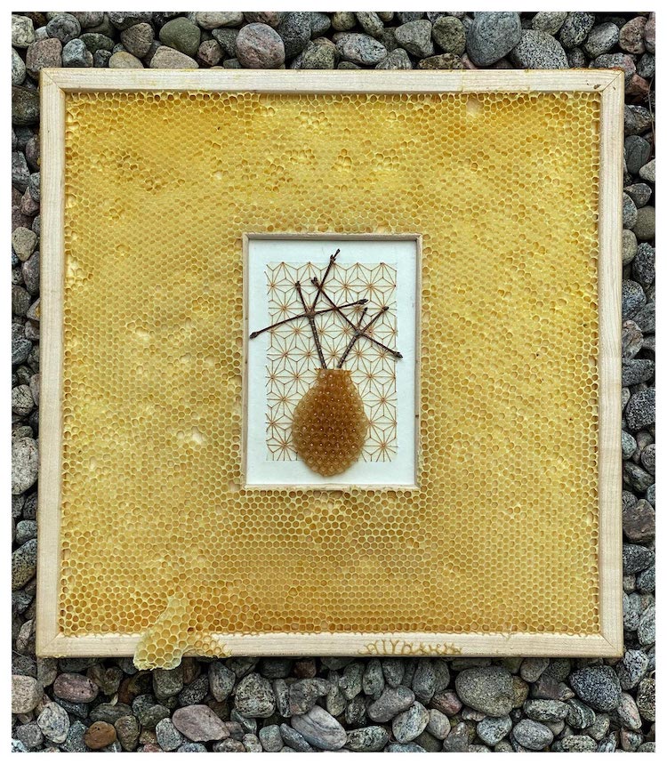 "Honeybee Collaboration 5" by Ava Roth