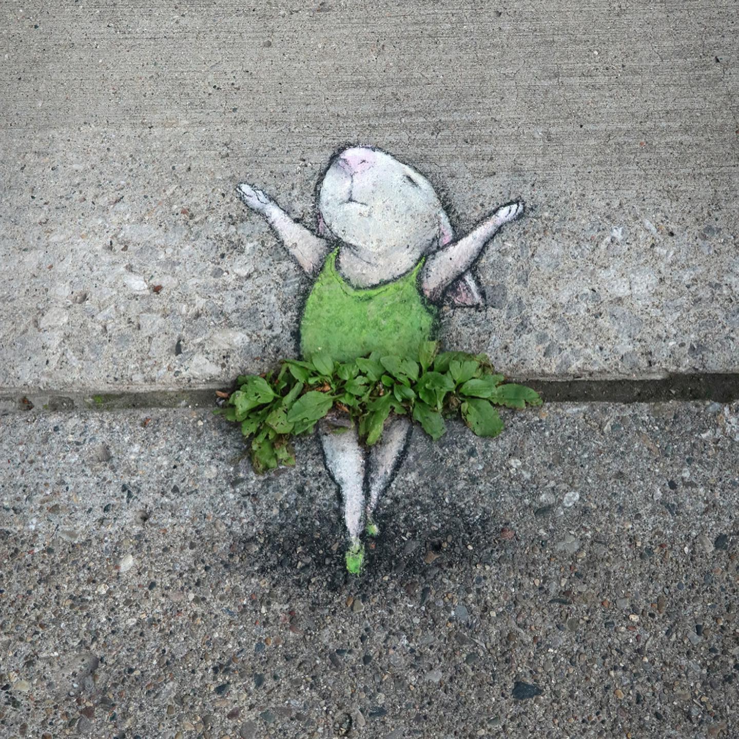 Dibujos de tiza por David Zinn