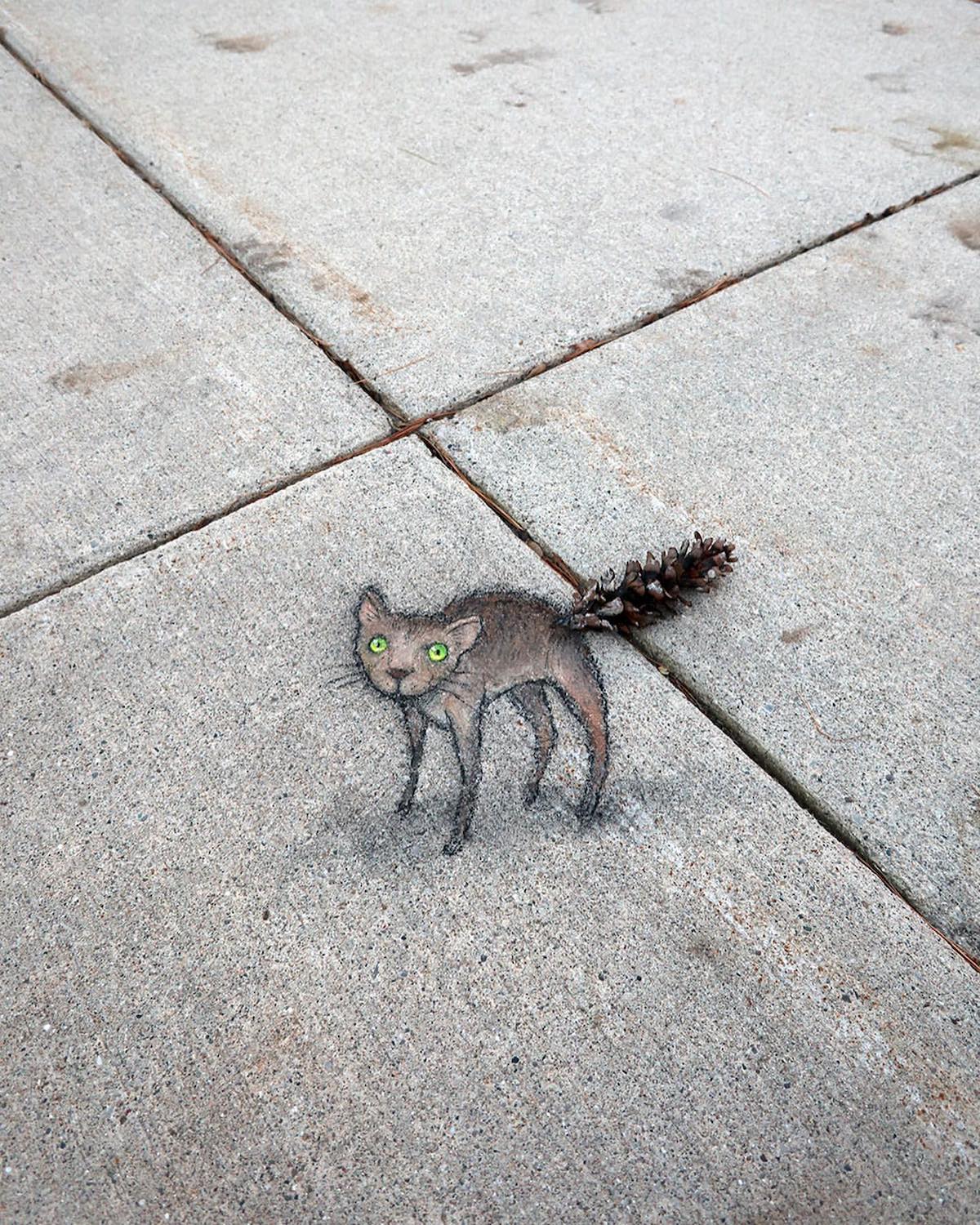 Dibujos de tiza por David Zinn