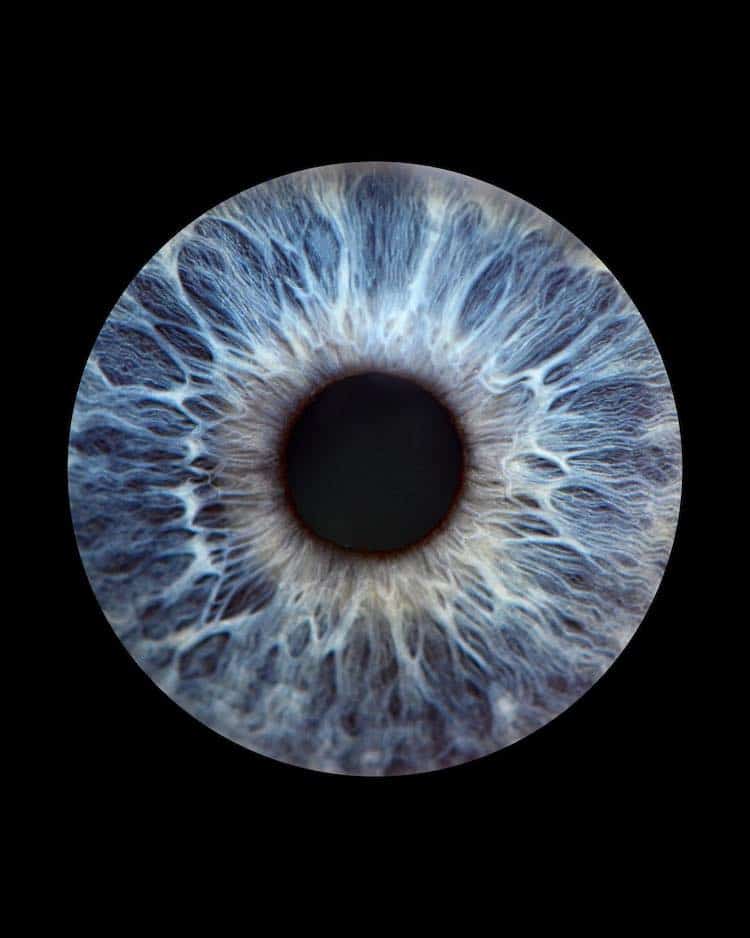 Eye Photography by Giannina Roche