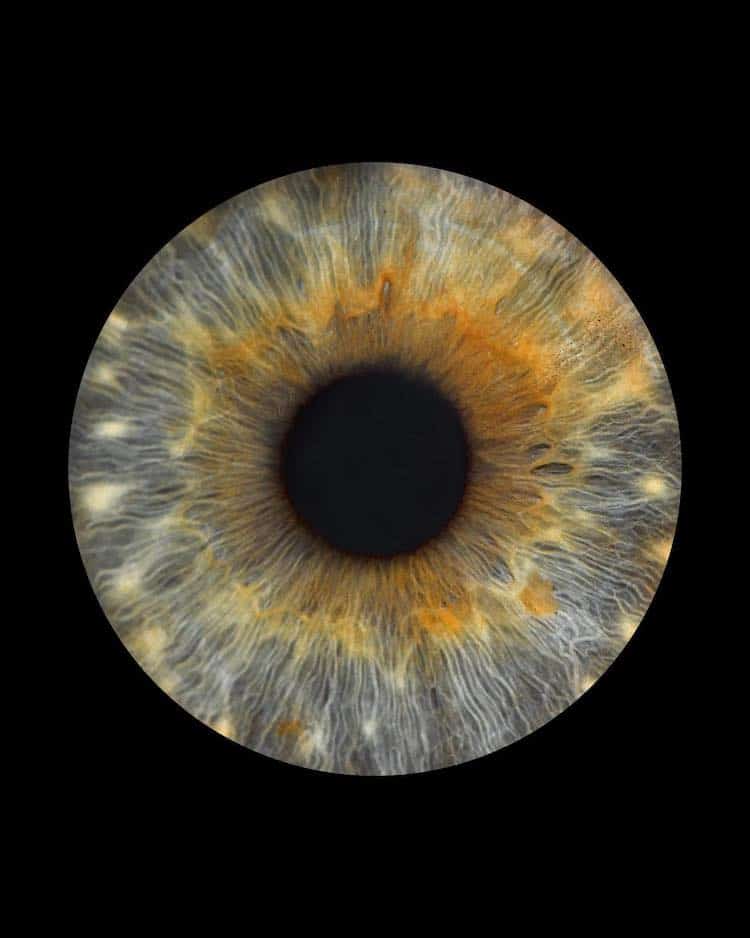 Eye Photography by Giannina Roche