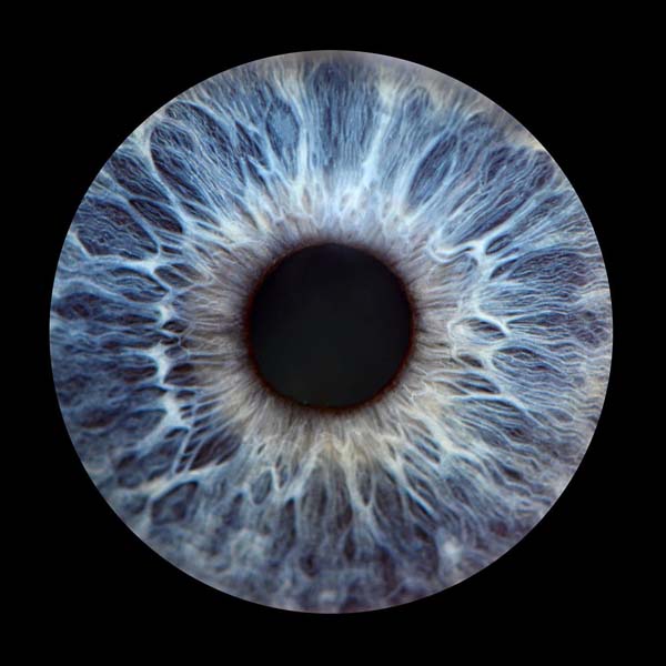 Macro Photographer Captures Eye-mazing Portraits Showcasing the Swirling Beauty of the Iris