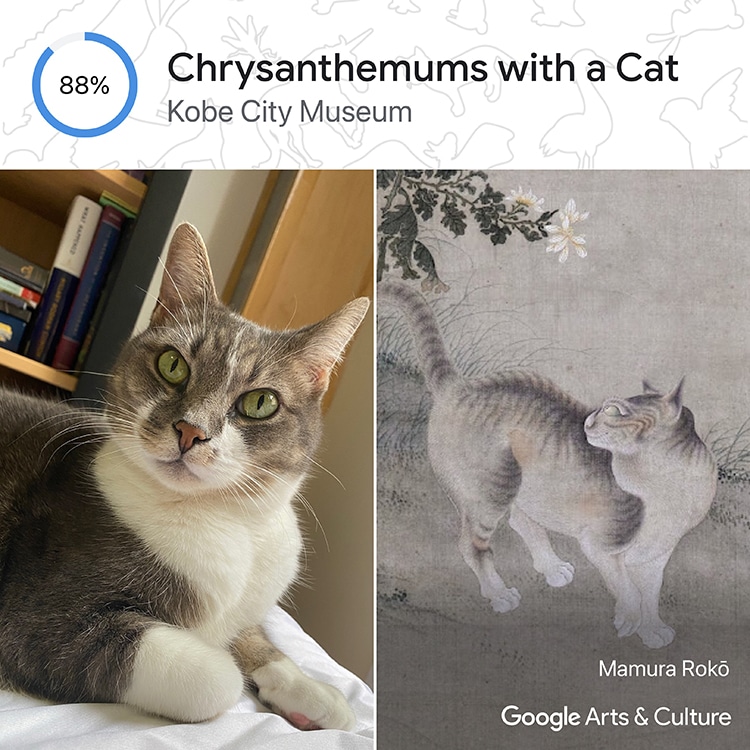 Google Arts & Culture Pet Portraits