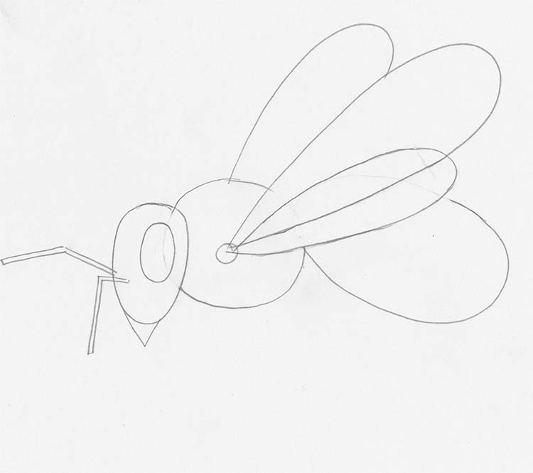 How to Draw a Bee