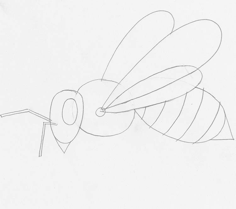 How to Draw a Bee