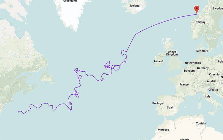 Mini Boat GPS Path