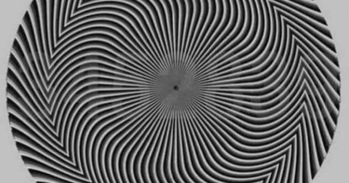 Optical Illusions In Black And White | Hot Sex Picture