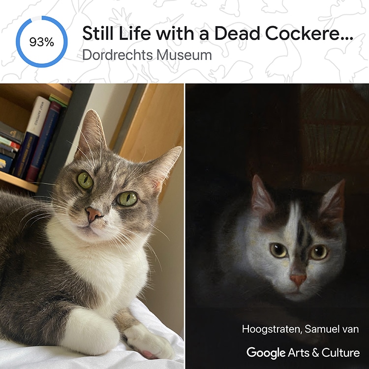 Cat Lookalike in Art History