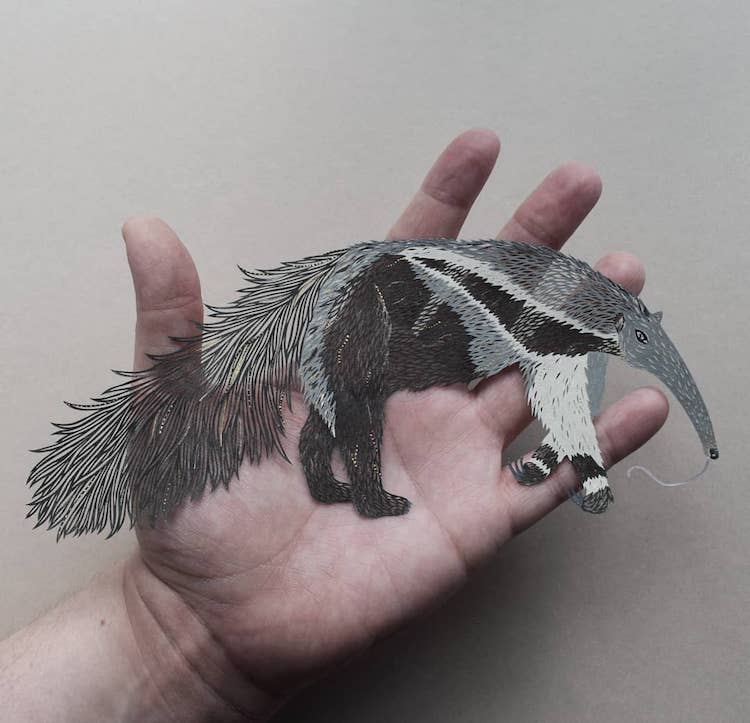 Paper cut animals by Pippa Dyrlaga