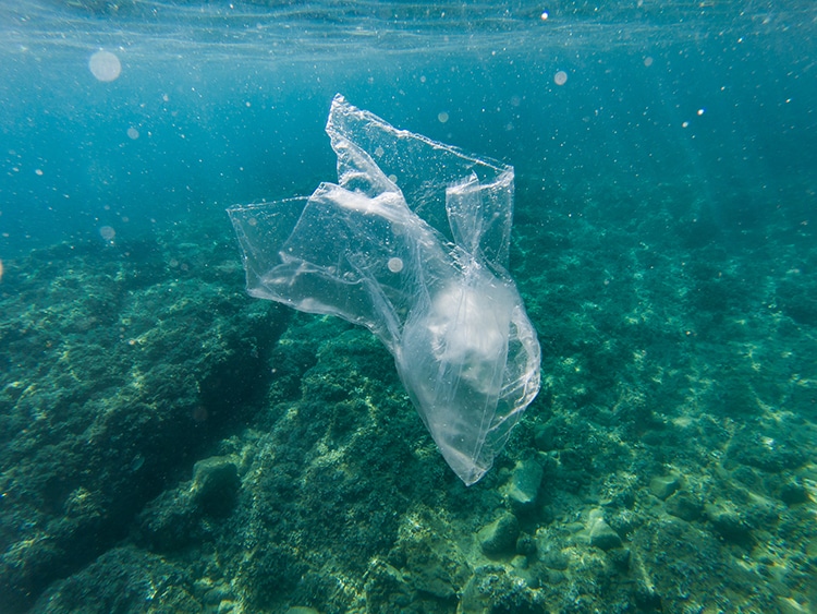 Plastic Pollutes the Oceans