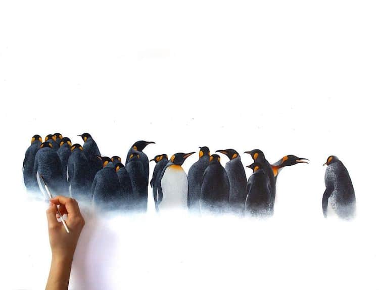 Gražus Sophie Green paveikslas pingvinas