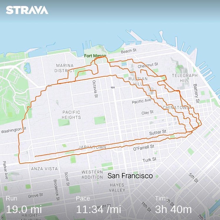 Runner Makes Drawing of a Tiger on the Streets of San Francisco Using Strava Running Routes