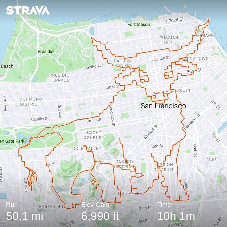 Runner Makes Drawing of a Tiger on the Streets of San Francisco Using Strava Running Routes