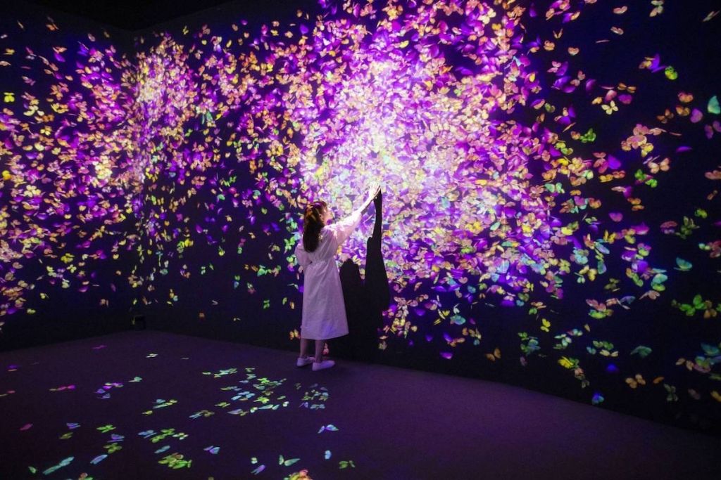 Cherry Blossoms Bloom at TeamLab's Fukuoka Forest