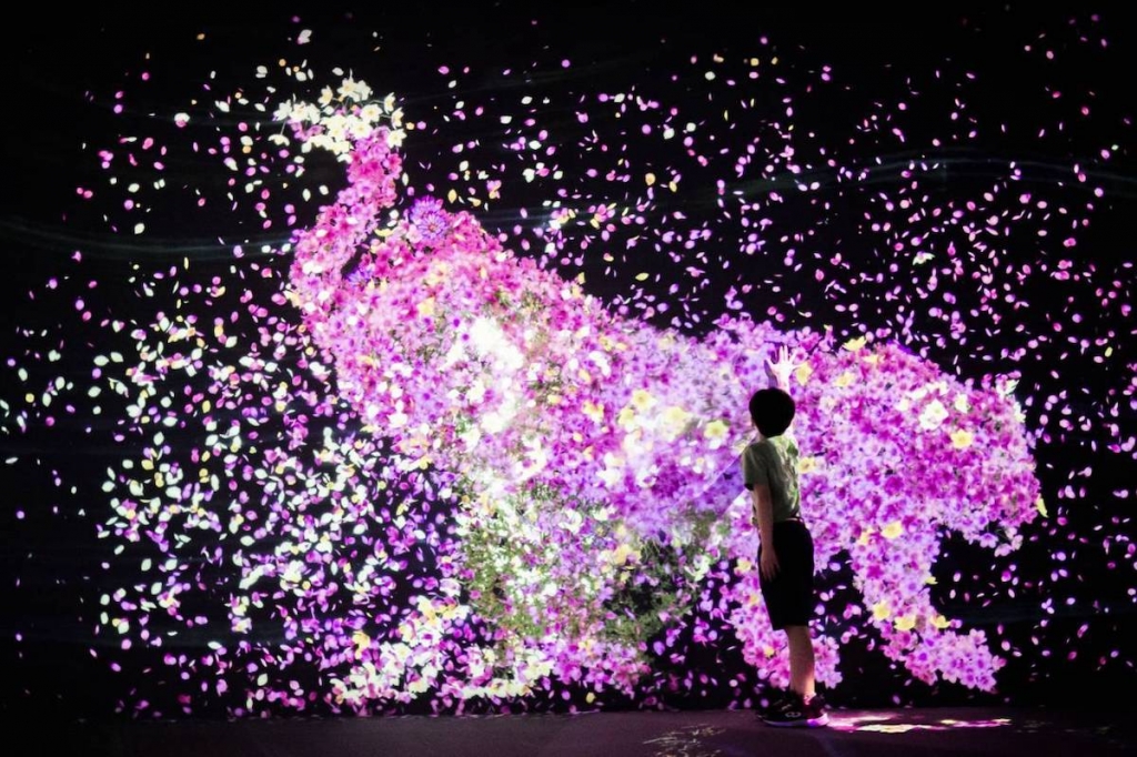 Cherry Blossoms Bloom at TeamLab's Fukuoka Forest