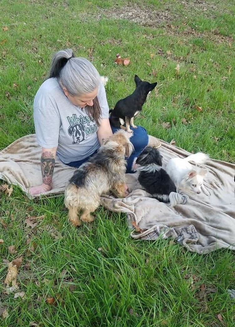 Women Turns Home Into Canine Rescue Hospice for Senior Dogs