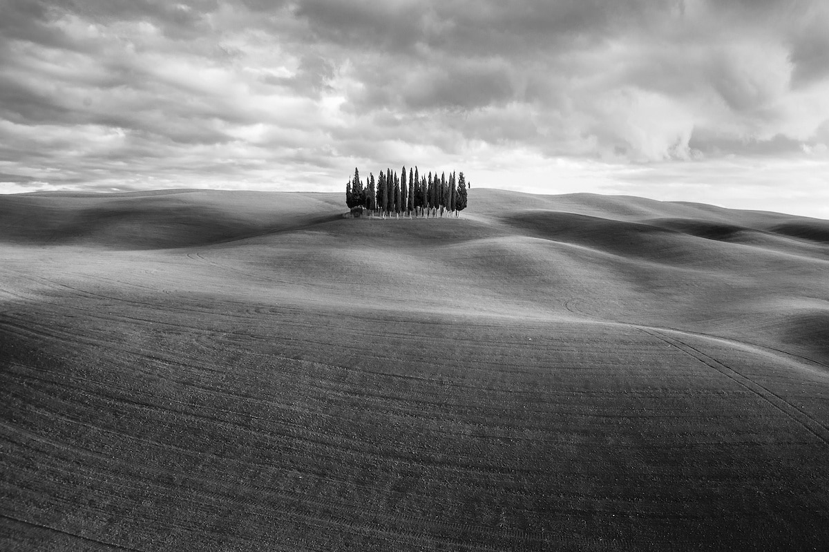 Black and White Tuscan Landscape