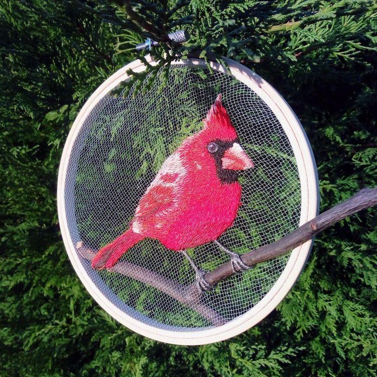Bird Embroidery by Beth Carroll