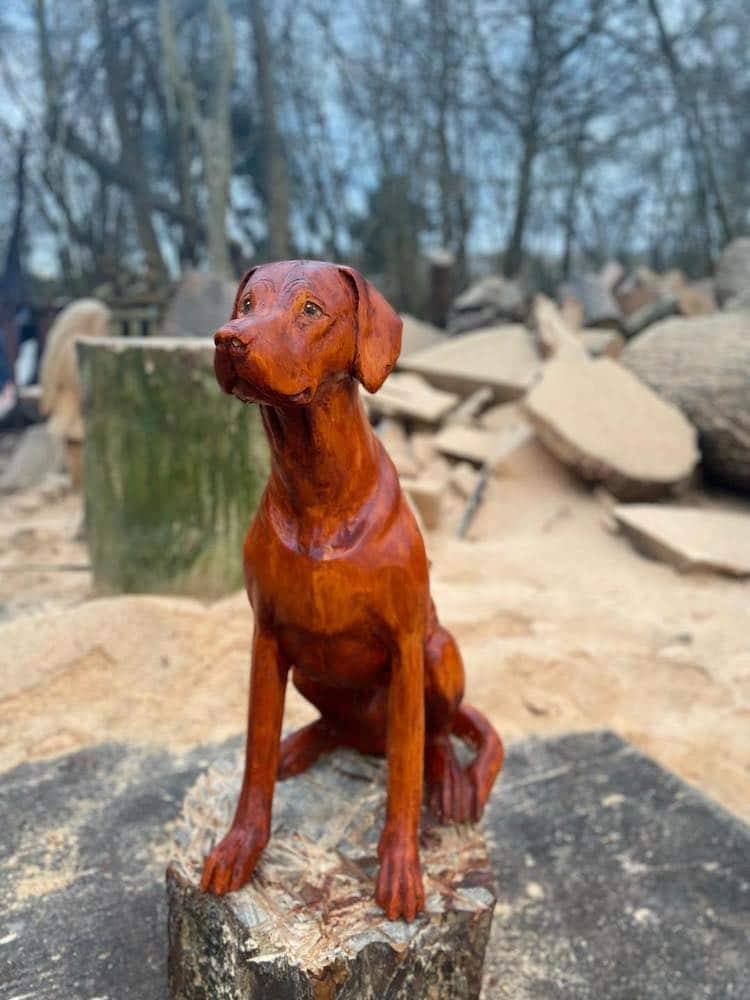 Artist Uses a Chainsaw to Create Realistic Wooden Sculptures of Animals