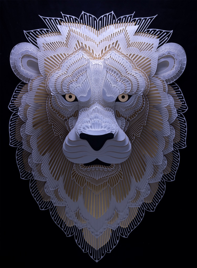 Amazing Animal Portraits Are Made From Delicate Paper Cutouts
