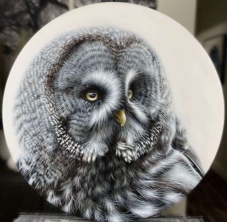 Animal Portrait Paintings by Sarah Still