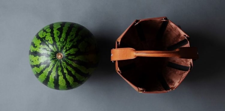 Watermelon sitting next to watermelon bag