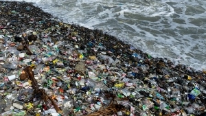 UN Environment Assembly Agrees To Negotiate A Plastic Waste Treaty