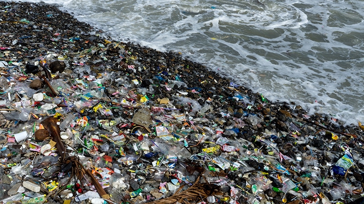 desechos plásticos en una playa