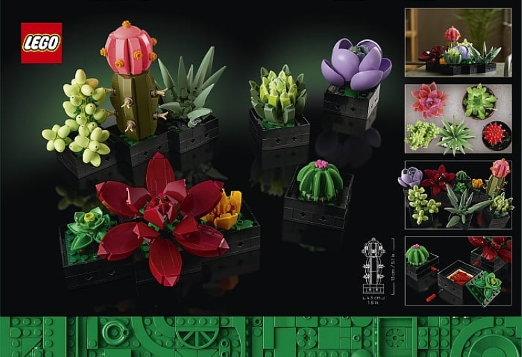 orquideas y suculentas lego