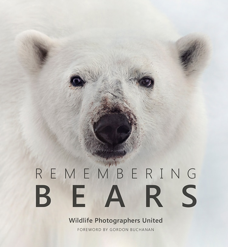 Portada del libro de fotografía “Remembering Bears” con un oso polar