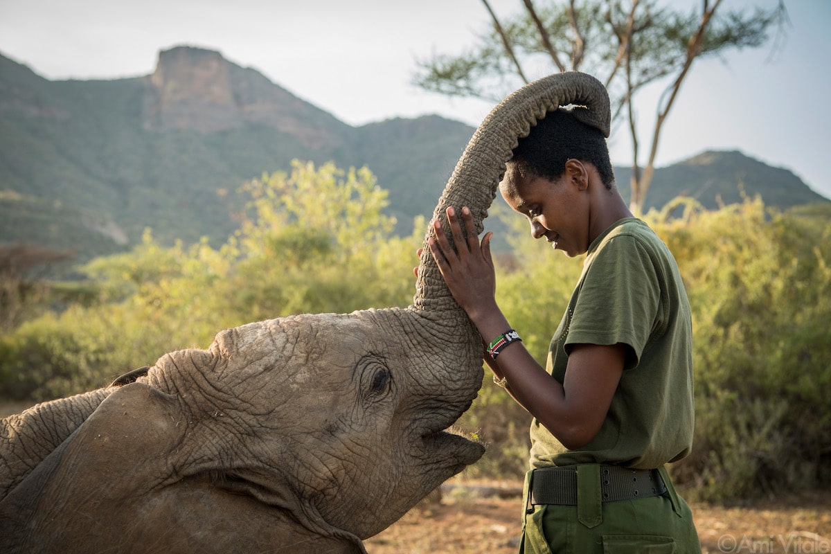Shaba the Orphaned Elephant with Her Caretaker