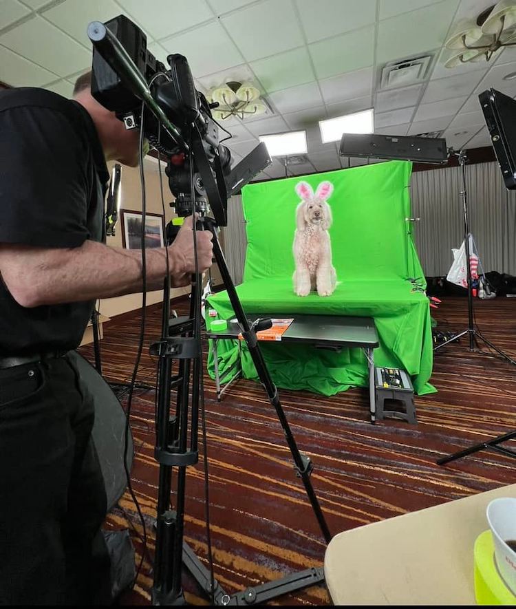 Behind the scenes of the Cadbury Bunny Campaign