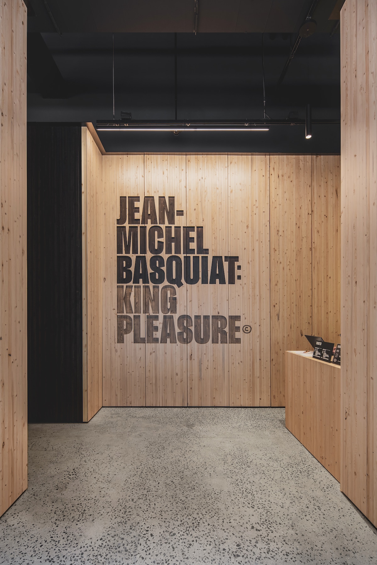 Basquiat Exhibition in New York City