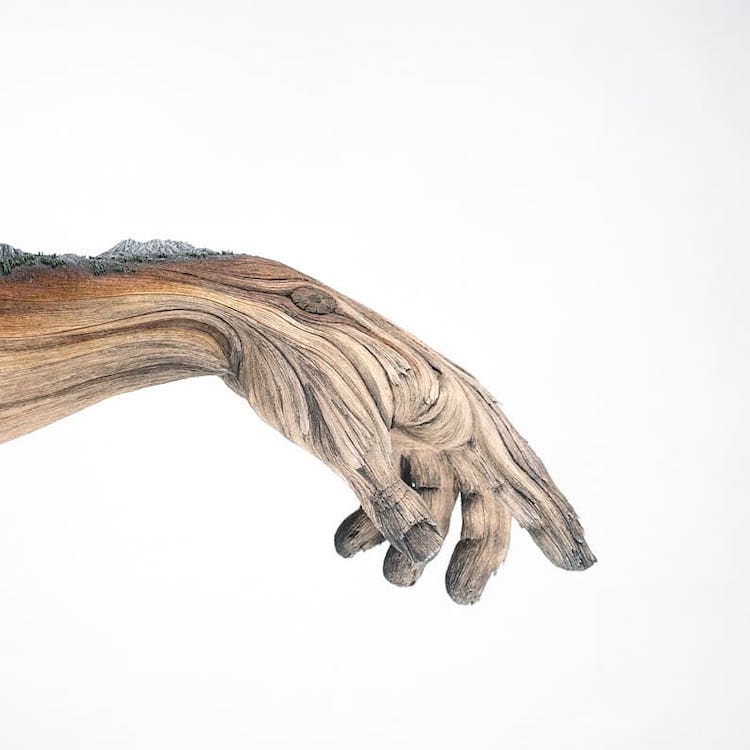 Ceramic Sculpture That Looks Like Wood by Christopher David White