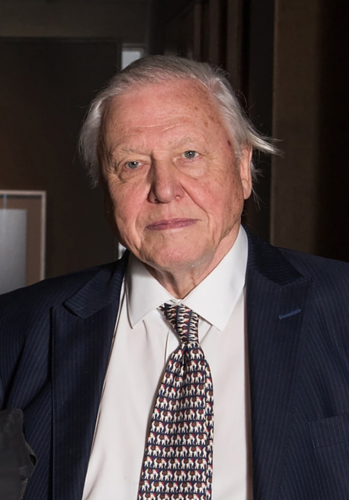 Sir David Attenborough Wins Champions Of The Earth Lifetime Achievement   David Attenborough 1 714x1024 