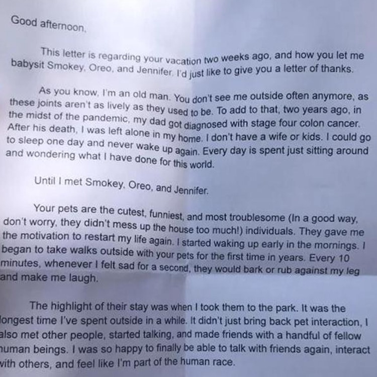 Elderly Man Watches Dogs and Sends Letter to Neighbor