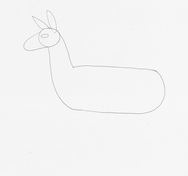 llama drawing