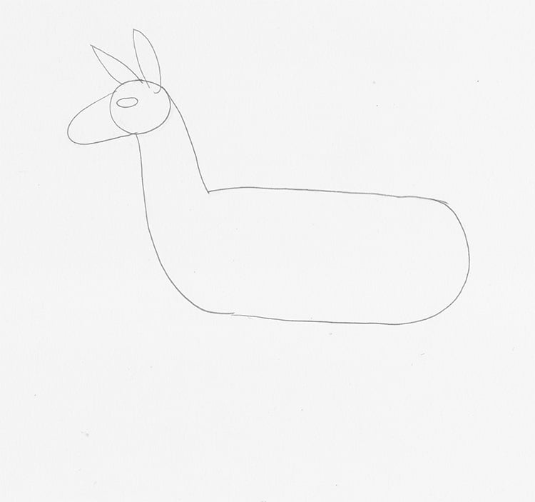 How to Draw a Llama Step by Step