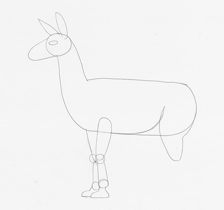 How to Draw a Llama Step by Step