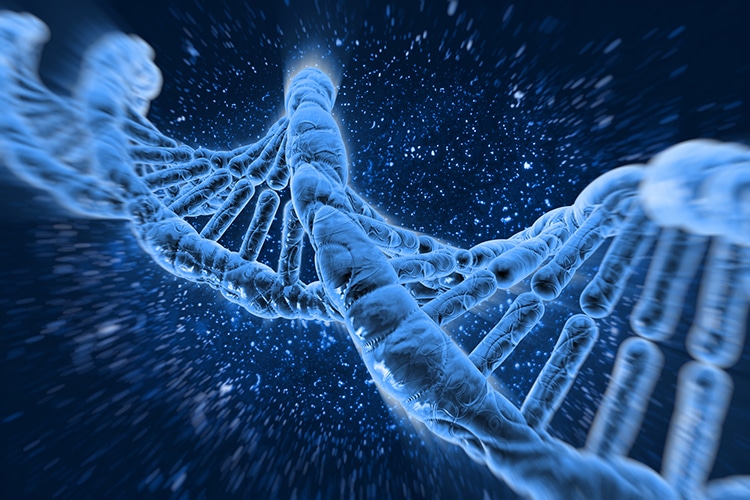 Scientists Have Completed Mapping the Human Genome